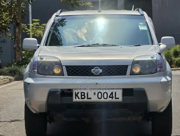 Nissan X-Trail 2003 Gray - 1