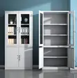 2-Door Metallic Half Glass Lockable File Cabinet - 1