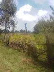 50x100 Plot for Sale in Ndeiya - 2