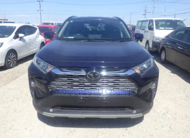 Toyota RAV4 Limited AWD 2019 Blue - 1