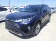 Toyota RAV4 Limited AWD 2019 Blue - 2