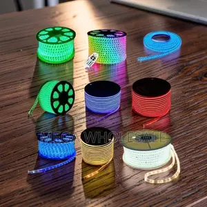 Remote Control Colorful LED Snake Lights Strip Lights