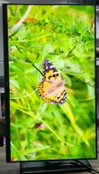 Dell P2719H 27-Inch 1080p Full HD Monitor - 2