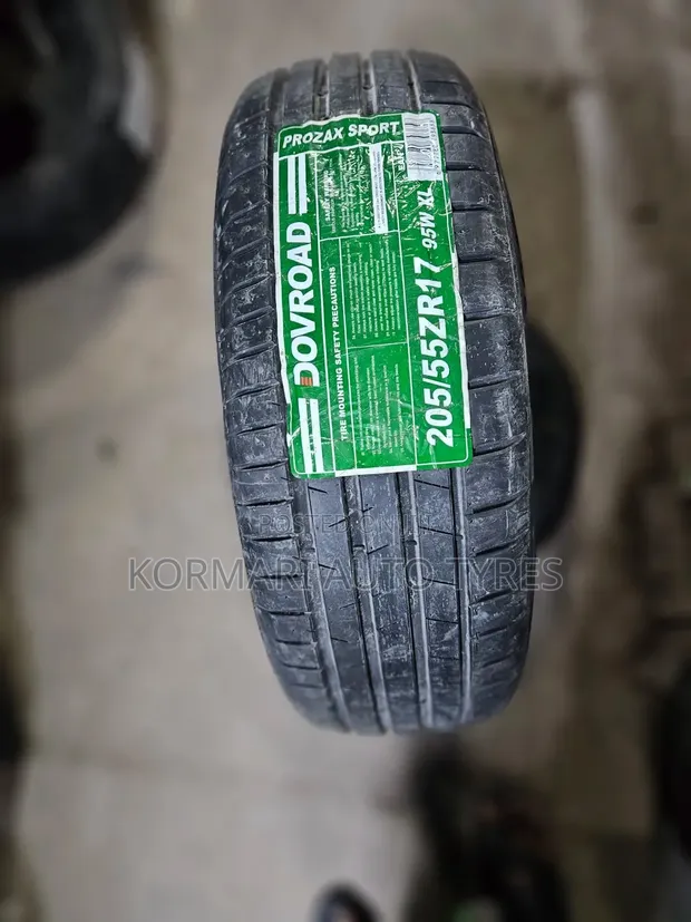 205/55R17 Dovroad Tire - 1