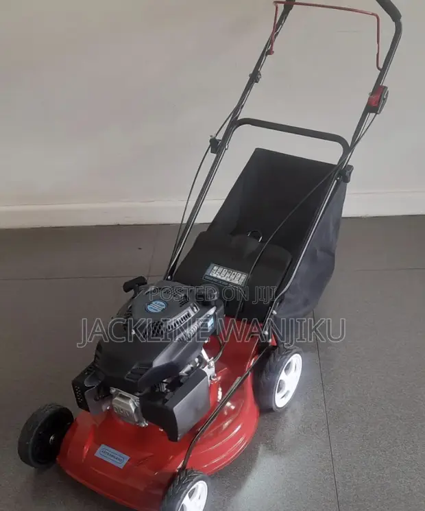 Astramilano Lawn Mower 18-Inch 140cc 4hp Hand Push - 1