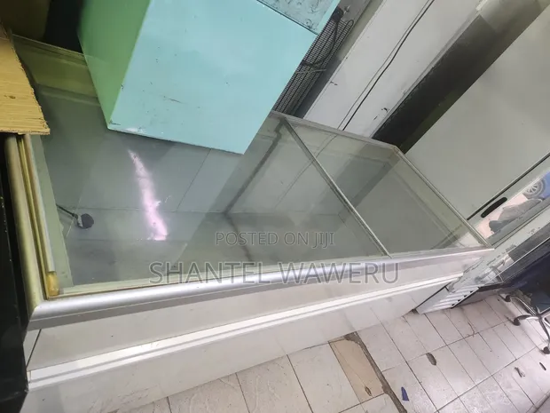 Display Freezer - Large Size - 1