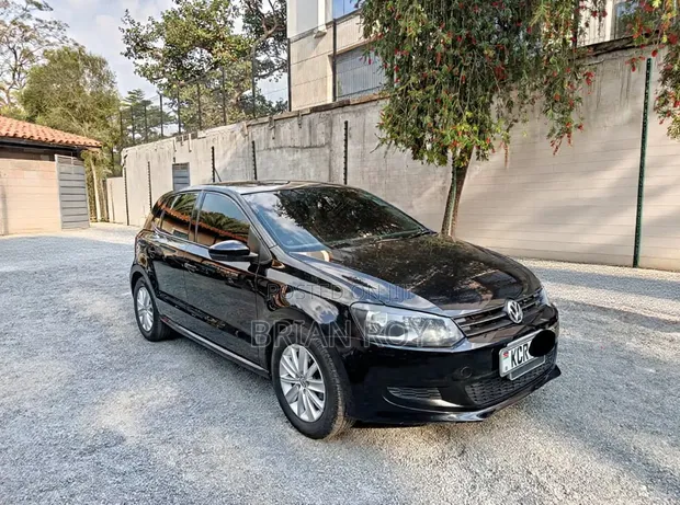 Volkswagen Polo 2011 - 1