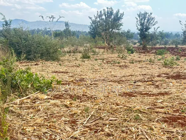 50x100 Land for Sale in Murang'a - Ready Title Deed - 1
