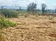 50x100 Land for Sale in Murang'a - Ready Title Deed - 1