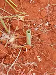 50x100 Land for Sale in Murang'a - Ready Title Deed - 2