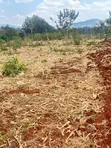 50x100 Land for Sale in Murang'a - Ready Title Deed - 4