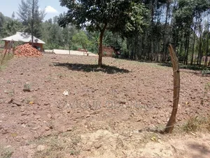 Ardhi ya Biashara Inauzwa Bukhayo Magharibi