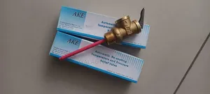 Era Pressure and Temperature Relief Valve