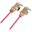Era Pressure and Temperature Relief Valve - 4