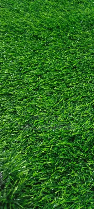 35mm Artificial Grass Carpet for Indoor/Outdoor