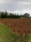 Land for Sale in Salgaa, Nakuru - 1