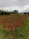 Land for Sale in Salgaa, Nakuru - 2