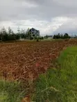 Land for Sale in Salgaa, Nakuru - 3
