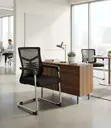 Mid Backrest Mesh Black Sled Base Visitor Chair - 3