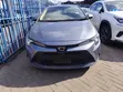 Toyota Corolla 2019 Gray - 5