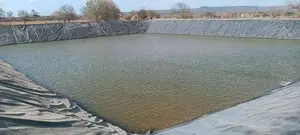 Dam Liners - 0.75mm Thick