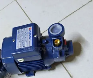 Powerful Pedrollo Water Pump 0.5 HP