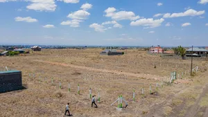 1/8 Acre Plots for Sale in Kamakis