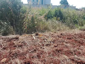 50x100 Plot for Sale, Anmer Gardens Estate, Kiambu