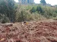 50x100 Plot for Sale, Anmer Gardens Estate, Kiambu - 1