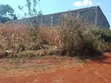 50x100 Plot for Sale, Anmer Gardens Estate, Kiambu - 3