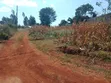 50x100 Plot for Sale, Anmer Gardens Estate, Kiambu - 4