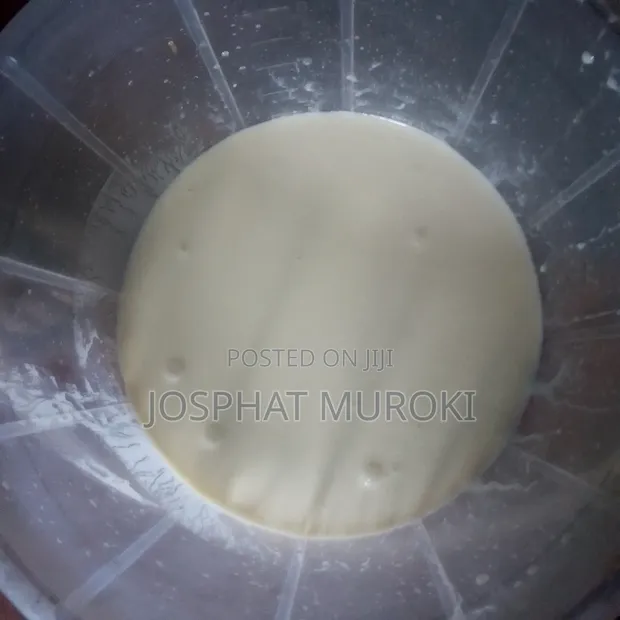 Fresh Yoghurt - Multiple Flavors - 1