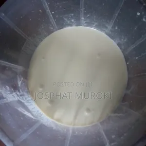 Fresh Yoghurt - Multiple Flavors