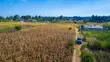 Prime Residential Plot for Sale in Kikuyu, Ng'amba - 1