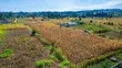 Prime Residential Plot for Sale in Kikuyu, Ng'amba - 3