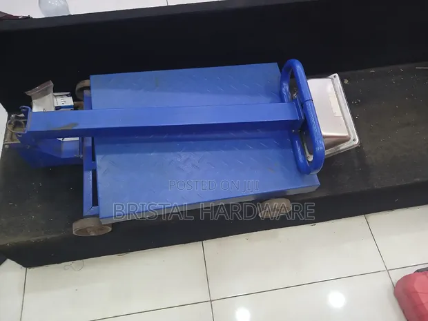 Platform Scale 500kg - 1