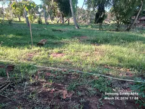 Prime 2-Acre Land for Sale in Vipingo Kadzinuni - KSh 6M
