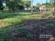 Prime 2-Acre Land for Sale in Vipingo Kadzinuni - KSh 6M - 4