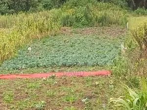 Land for Sale in Dundori, Nakuru
