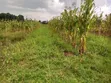 Land for Sale in Dundori, Nakuru - 3