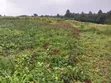 Land for Sale in Dundori, Nakuru - 4