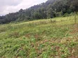Land for Sale in Dundori, Nakuru - 5