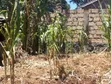 100x100 Plot for Sale, Muguga - 2