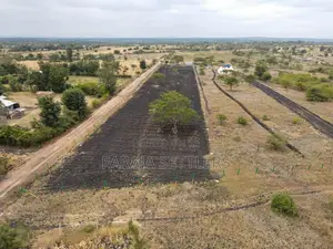 Prime 50x100 Plots for Sale in Makutano Pi (Mwea)