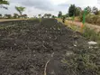 Prime 50x100 Plots for Sale in Makutano Pi (Mwea) - 5