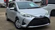 Toyota Vitz 2019 Silver Hybrid - 3