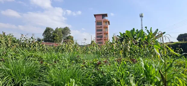 Prime 100x100 Plot for Sale - Lower Kabete - 1