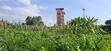 Prime 100x100 Plot for Sale - Lower Kabete - 1