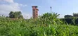 Prime 100x100 Plot for Sale - Lower Kabete - 2