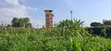 Prime 100x100 Plot for Sale - Lower Kabete - 3